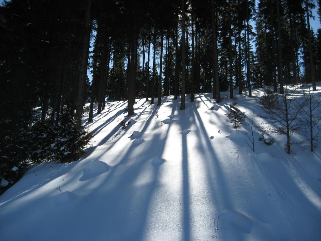 Ferienwohnung Schneemann Hohegeiß Cameră foto