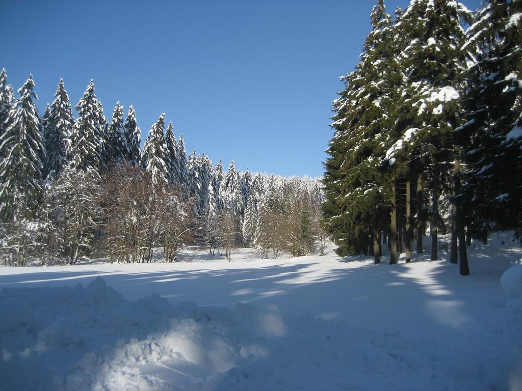 Ferienwohnung Schneemann Hohegeiß Cameră foto