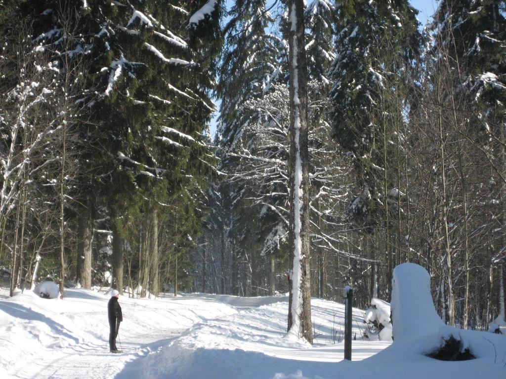 Ferienwohnung Schneemann Hohegeiß Cameră foto