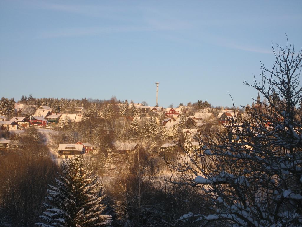 Ferienwohnung Schneemann Hohegeiß Exterior foto