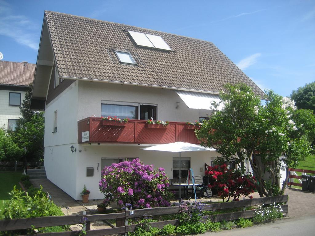 Ferienwohnung Schneemann Hohegeiß Exterior foto