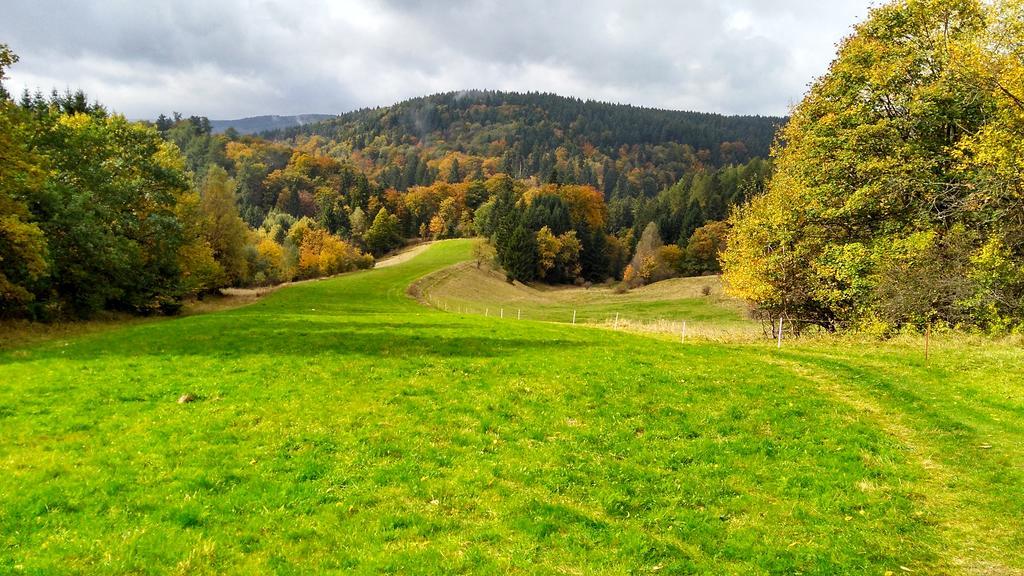 Ferienwohnung Schneemann Hohegeiß Exterior foto