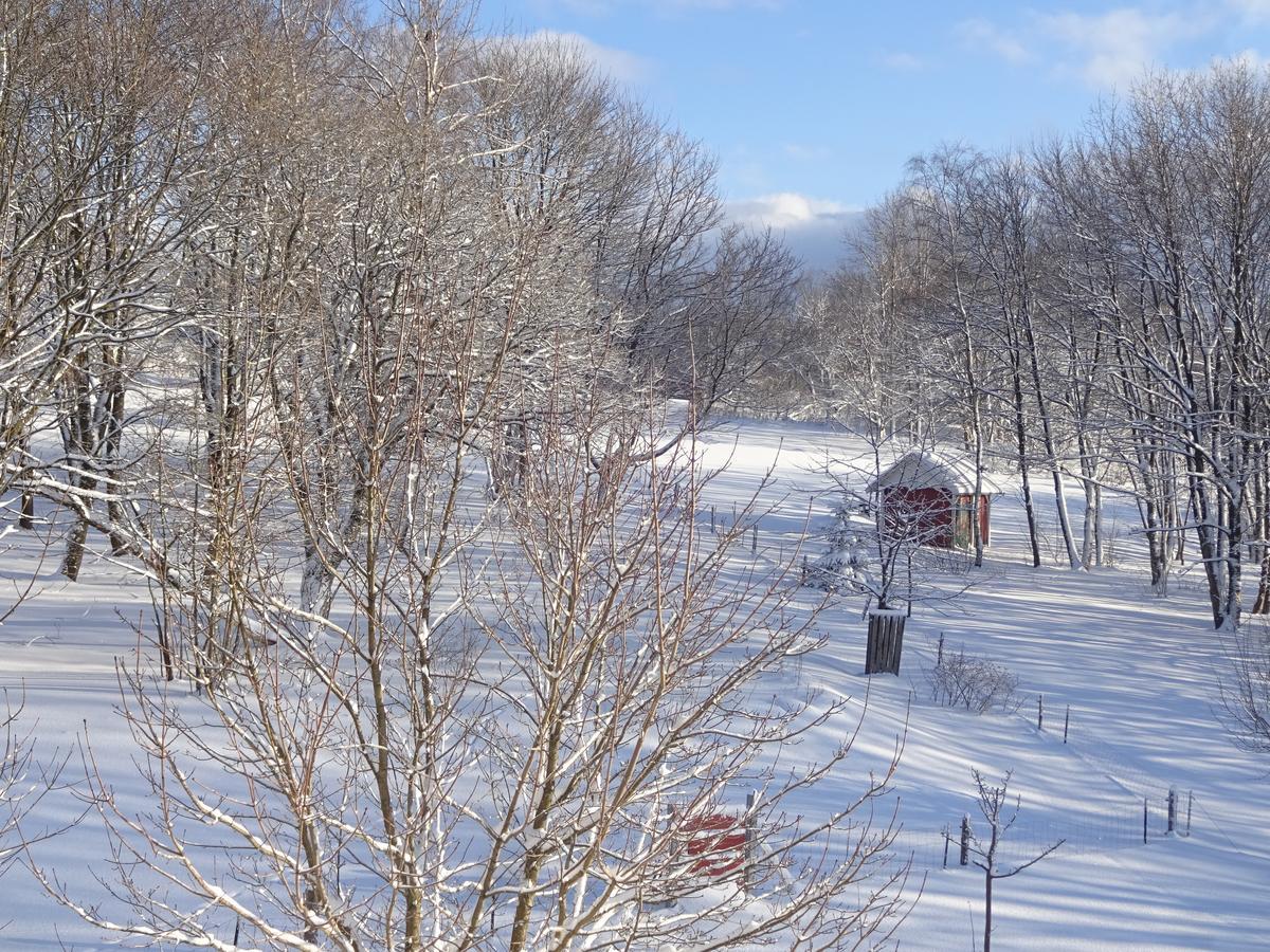 Ferienwohnung Schneemann Hohegeiß Exterior foto