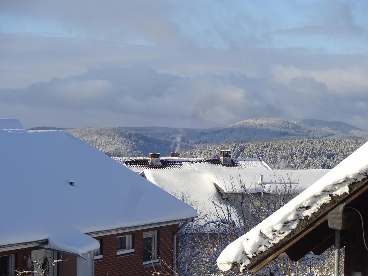 Ferienwohnung Schneemann Hohegeiß Exterior foto