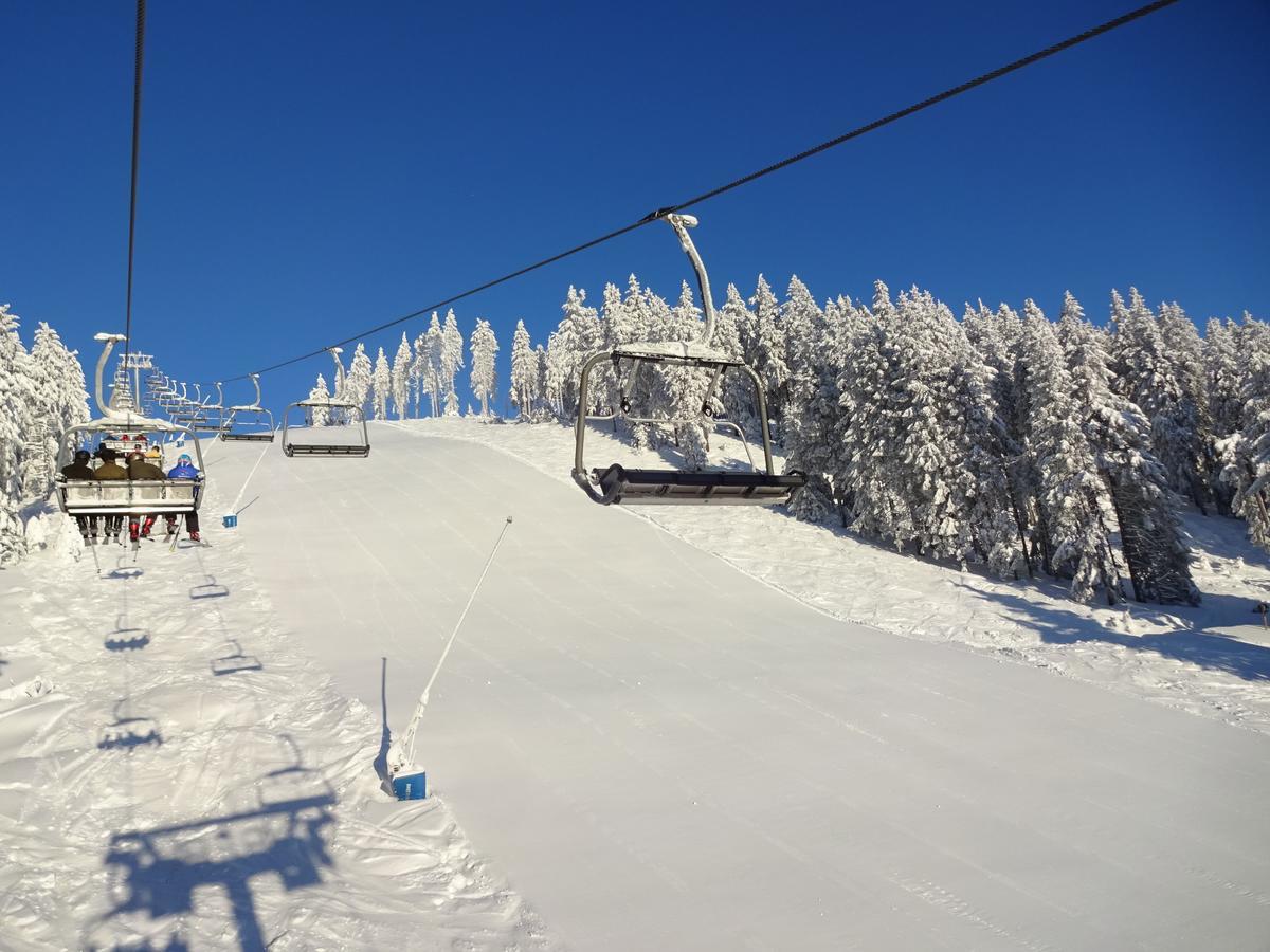 Ferienwohnung Schneemann Hohegeiß Exterior foto